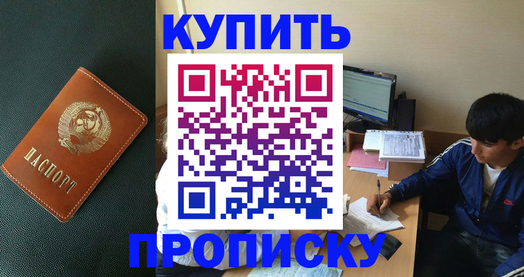 прописка законно в Санкт-Петербурге